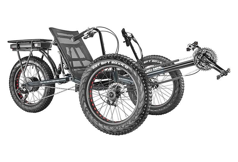 Sun Seeker E-Fat Tad — product photo