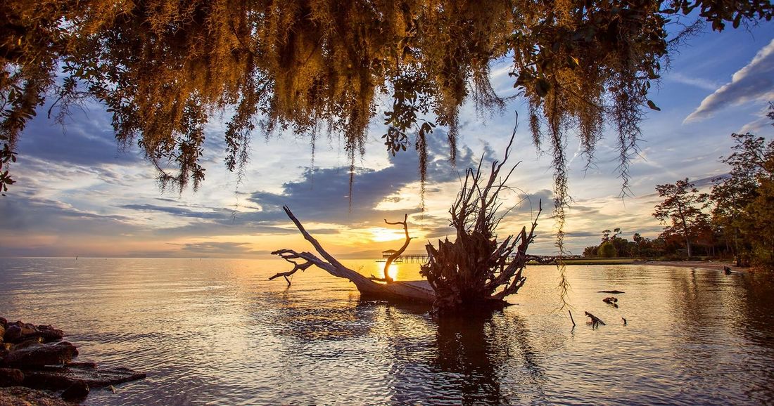 Mandeville bike tour with Brooks Bike Shop — sunset over Lake Pontchartrain at the Mandeville lakefront, framed by Spanish moss